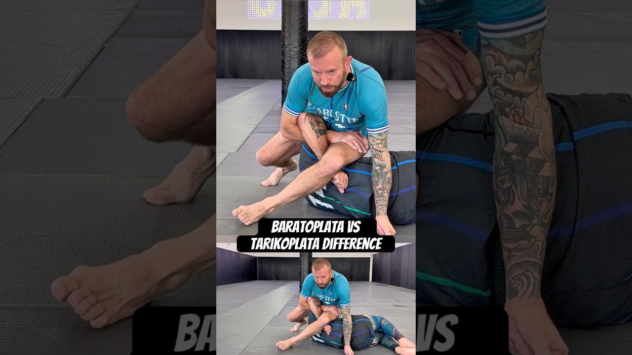 Baratoplata vs Tarikoplata Difference