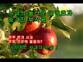 최근 사과의 놀라운 건강 효과 와 숨겨진 부작용.