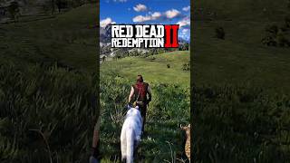 Top 3 Most Dangerous Animals in Red Dead Redemption 2