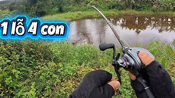 Một Lỗ 4 Con Một Ngày Vô Mánh Cá Đớp Liên Tục I Tây Nguyên Vlog