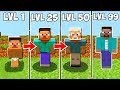 ⚠️ STEVE SEVİYELERİ! - Minecraft ⚠️