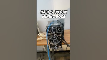 the ElphaPex DG1+ is here to dominate Doge mining! 14G