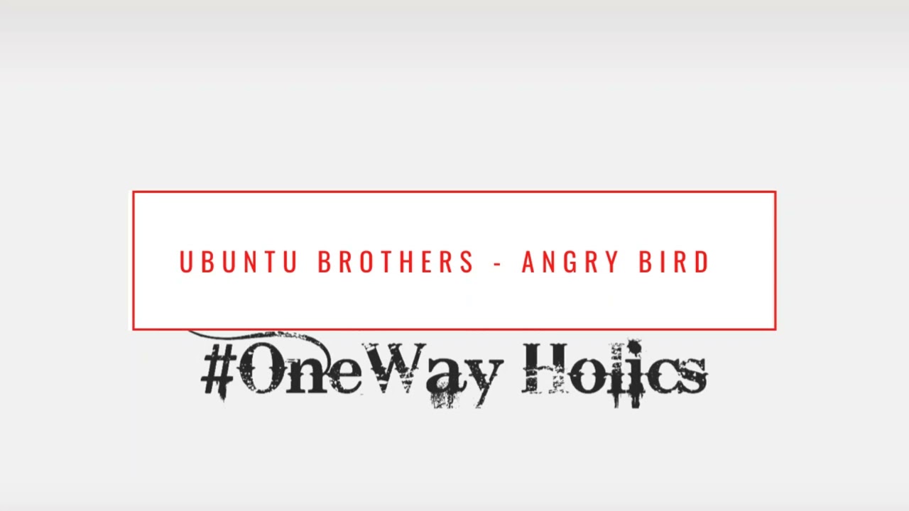 UBUNTU BROTHERS FT EPIC SOUL ZA  -  ANGRY BIRD