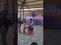 The Trainer called me to Volunteer at a Phuket monkey show trick, Thailand.   When watching the show