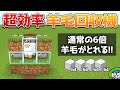 【裏技】通常の6倍量刈り取れる自動羊毛回収装置の作り方！【マイクラ1.21/統合版/Switch/スマホ】