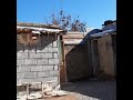 کفتر بازی دار وپرشی کفتر بازی دار وپرشی