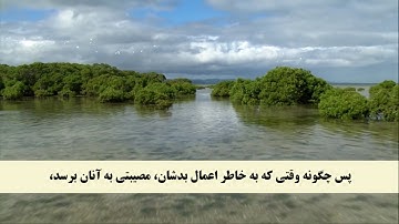 جز 5 ( سوره نساء از آیه 60 تا 65 ) با ترجمه فارسی صوتی و تصویری