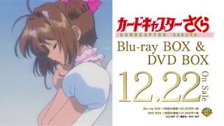 Blu Ray Box Dvd Box カードキャプターさくら公式サイト