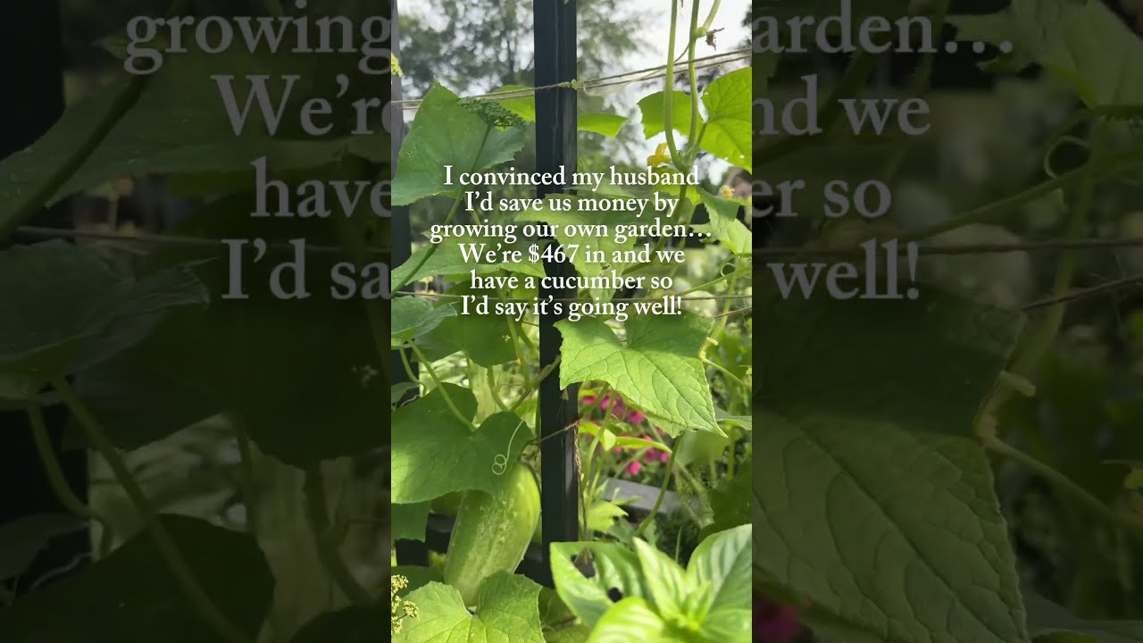 Sooo Maybe The Garden Wasn T A Great Investment But I Saved On Therapy Gardening Plants Funny