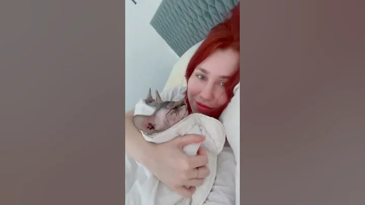 Watch the video about My sphynx cats can't sleep on their own #shorts