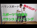 【バランスボード入門】乗り方マスター＠体育では学べない最強バランストレーニング　実績20年の柔道整復師が解説