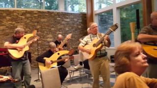 The Water Is Wide by a harp guitar army