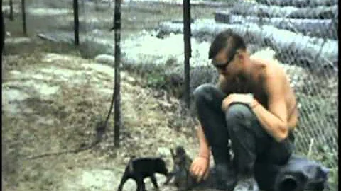 cosmo the monkey vietnam 1969