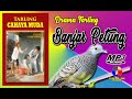 DRAMA TARLING // MANUK BANJAR PETUNG // TARLING CAHAYA MUDA