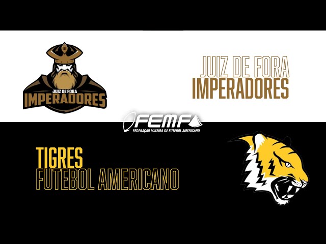 FEMFA - Federação Mineira de Futebol Americano