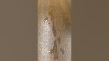 Time lapse: water evaporating at 20 degrees celsius