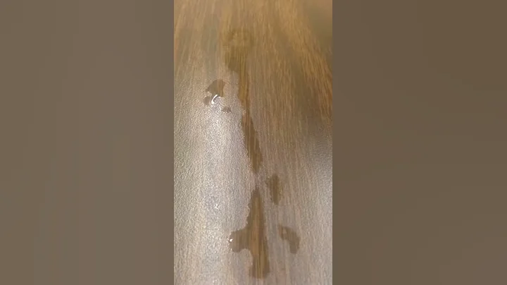Time lapse: water evaporating at 20 degrees celsius