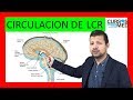 FISIOLOGÍA - CIRCULACIÓN DEL LCR - HIDROCEFALIA