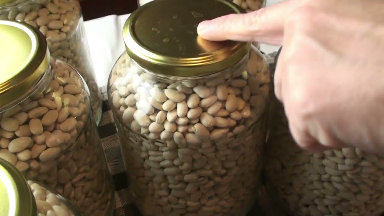 Сухие консервированные бобы: руководство, которое вам нужно знать