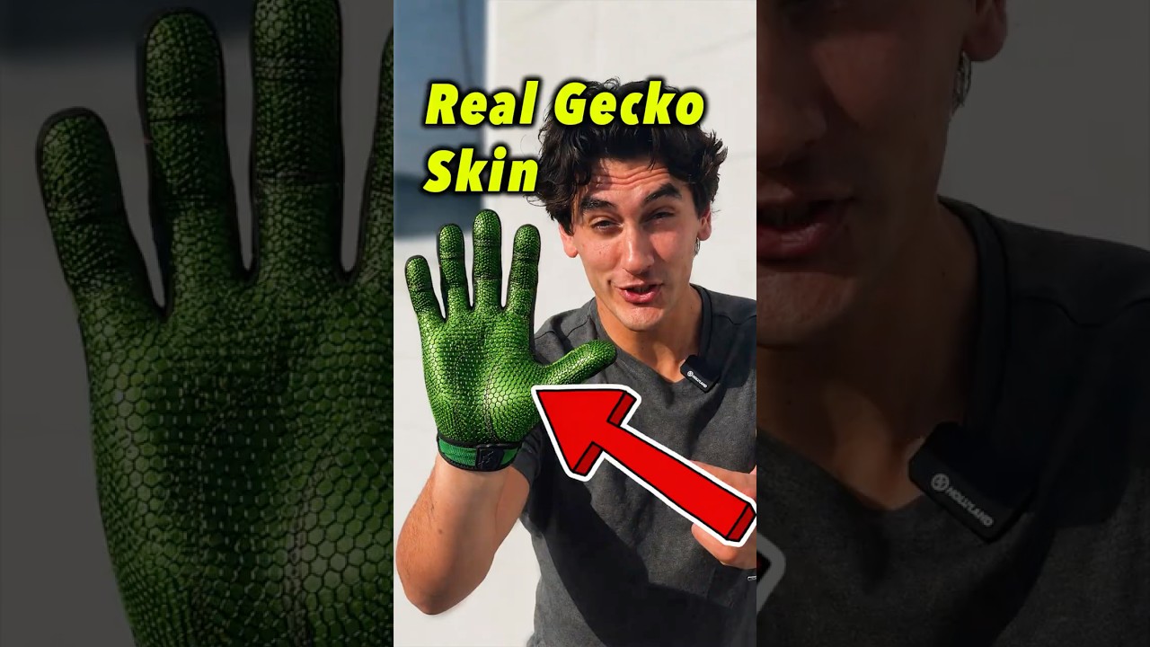 Climbing Walls With Gecko Skin!