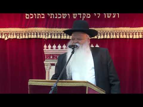 ישראל מדינה דיקטטורית הגדולה ביותר | קצרים | הרב דניאל זר