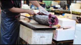 Marché aux poissons Tsukiji