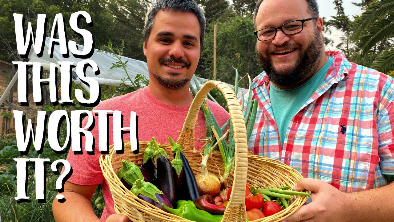 Harvest La Vista, Baby