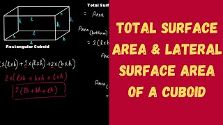 Total Surface Area & Lateral Surface Area of a Cuboid || Mensuration || Grade 8