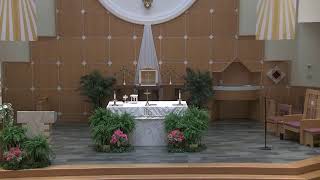 Holy Mass - Saturday of the Seventh Week of Easter - May 23, 2026