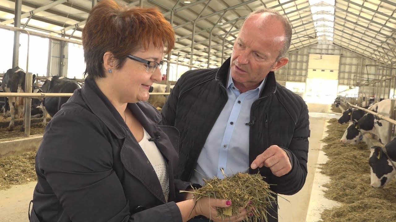 7. Axiál Akadémia - A szarvasmarhák takarmányozása