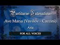 Ave Maria (Vavilov - Caccini) KARAOKE - V. Vavílov - Key: Fm, Dm, Em, Gm and Am