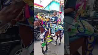 5 Kuda Renggong Tdanil Di Sawah Buah Pamulihan Jablay Muda Dkk