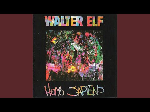 Die Walter Elf — Action