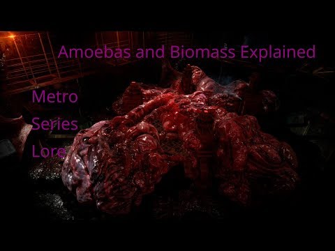 amoebas-/-biomass-explained---metro-series