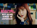TWICE SIGNAL But J Line Sings In Japanese