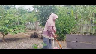 Jalan jalan ke kebunnya opa (Anggresi)🥰