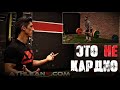 КАК НЕ НАДО ДЕЛАТЬ КАРДИО - 5 видов | Джефф Кавальер