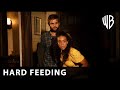 Hard Feeding