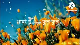 Bhawre ne khilya phool phool song tune WhatsApp status