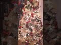 My Christmas Tree  2018