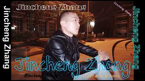 Jincheng Zhang - Passport (Instrumental Version) (Background) (Official Audio)