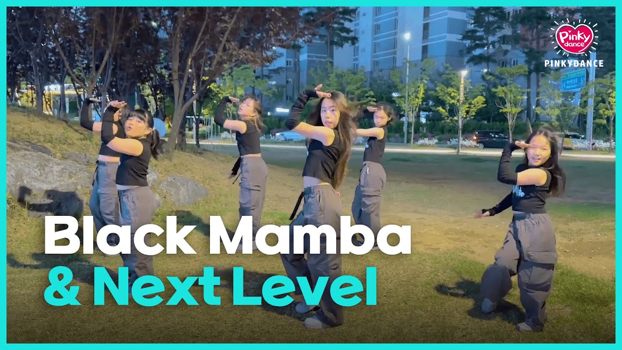 [핑키댄스] Black Mamba & Next Level (에스파)ㅣ다산핑키 Dance Cover