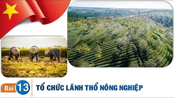 Địa lí 12 - Bài 13. TỔ CHỨC LÃNH THỔ NÔNG NGHIỆP