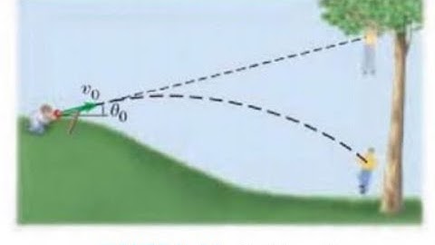 (3-49) Revisit Example 3-9, and assume that the boy with the slingshot is below the boy in the tree