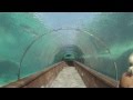 Walking through Shark tunnel Atlantis Bahamas resort GoPro Hero 3 white