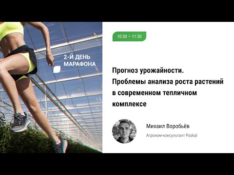 🏃‍♀️ Прогноз урожайности.