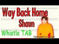 Way Back Home - Shaun - Tin Whistle - Play Along Tab Tutorial