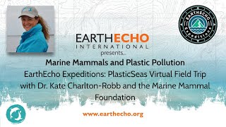 Marine Mammals and Plastic Pollution A PlasticSeas Virtual Field Trip screenshot 2