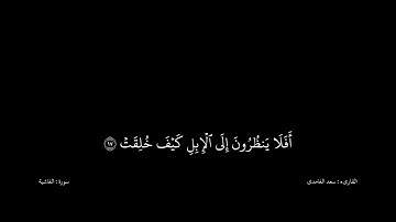 سعد الغامدى القران كریم خلفیه‌ سوداء (سورة الغاشية)