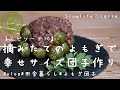 【よもぎ団子作り方】摘みたてのよもぎで幸せサイズのよもぎ団子作り｜田舎暮らし｜Japanese VLOG EP10|Make happy size mugwort dumplings